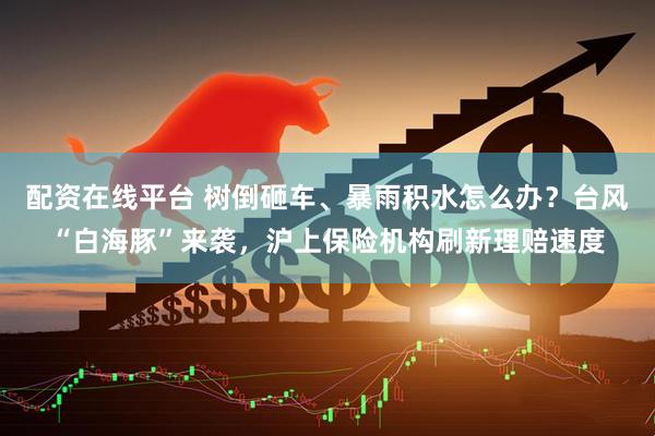 配资在线平台 树倒砸车、暴雨积水怎么办？台风“白海豚”来袭，沪上保险机构刷新理赔速度